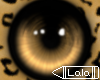 [LC] Leopard Eyes