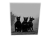 Big Three