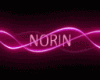 NORIN