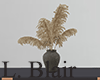 Decor | Pampas