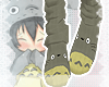 [An] Totoro , socks