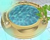 SPA HOT TUBE &POSES