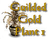 Gilded Gold Plant 1