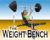 Weight Bench -v1a