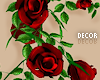 T | Red Rose Vine