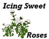 Icing Sweet Roses