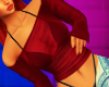 Red Sheer Top