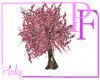 Romantic Plum Tree Anim