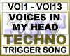 VOICES IN MY HEAD