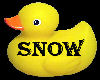 S* Snow Duck Marker