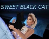 Sweet Black Cat