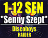 SennySzept-DiscoBoys..