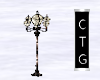 CTG CITW OUTDOOR  LAMP