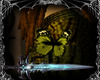 ⸸ papilio