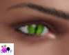 Toxic green cat eyes