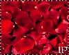 Floor Red Roses Petals