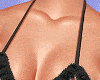 Kitten Set