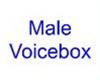 Grown Man Voicebox