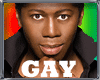 5*SO GAY VOICEBOX|9TRIG
