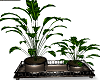 Executive Plant Pot