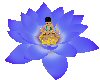 Lotus blue meditate