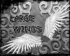 ~X~ angel white wing