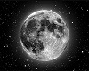 moon club chair