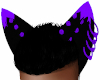 Purple Wolf Ears