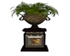 Venitian Urn Plant