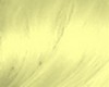 Test blond perso