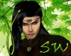 SW~ Elven Soot