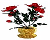 red roses in gold pot