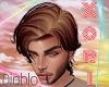 Diablo Hair V2
