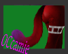 Neo CatTail Sm