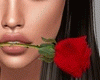 Red Rose Mouth