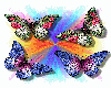 [WC]Butterflys