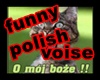 !ll Funny Voise PL Mix