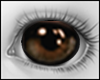 Brown Eyes F/M Derivable