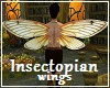 Insectopian Elf Wings