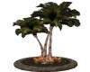 POTTED PALMS BENCH