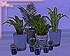 ~Gw~ Plants