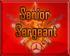 Army Senior Sergeant