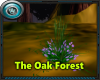 MRW|Oak Forest|Flowers
