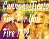 Cannons/Tiesto Fire4U