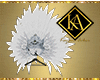 feather Crown