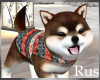 Rus: Shiba Pup Winter 4