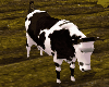 Resize able Cow