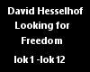 [MB] David Hasselhoff 
