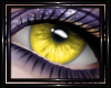 !T! Eyes | Eulalia Y