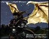 Luxigon Zacary